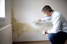 Best Forensic Mold Investigation  in Brookings, OR